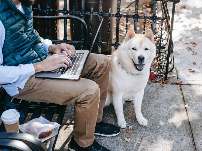 person with laptop and dog