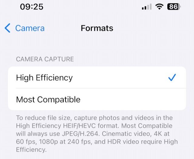 Apple Camera app image format options