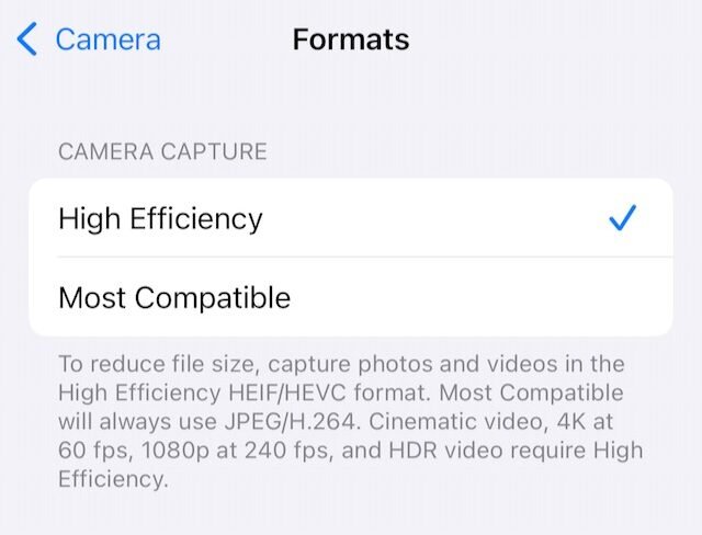 Apple Camera app image format options